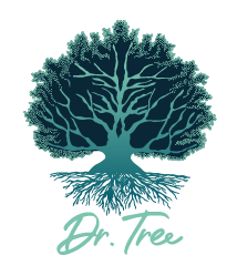 Logo Dr. Tree